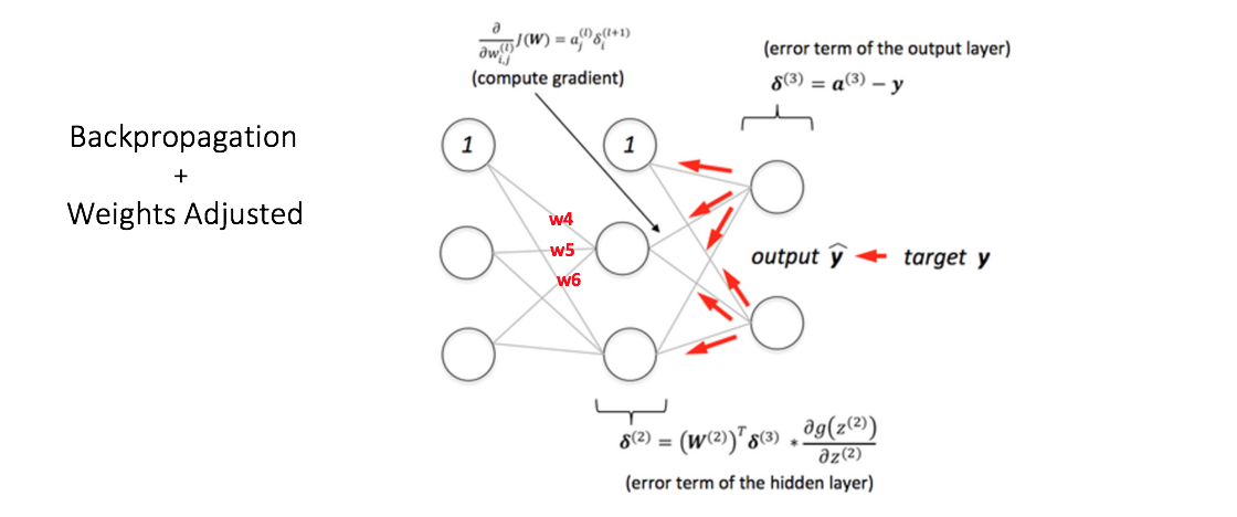  backward propagation and weight updation step in a multi layer perceptron